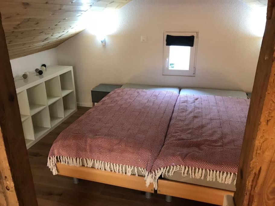 La Maisonnette : Charmante Maison Independante Salgesch 外观 照片
